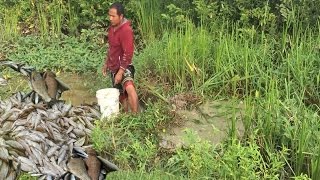 wow Amazing Fishing - How to Catches Fish in Konpong Spue- Cambodia Traditional fishing #28