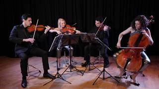 Skyfall - String Quartet Wedding Music