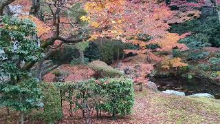 Sennyuji Temple Kyoto Japan 2024 Dec 11