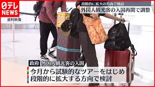 【水際対策】観光目的での外国人の入国  来月から再開で調整  政府