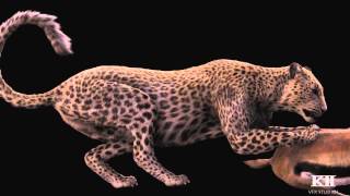 K2 Demo Reel 2014