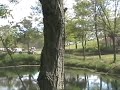 25c by the pond at claverack motocross may 16th 2010