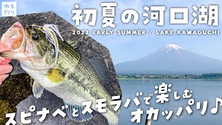 【河口湖バス釣り】スモラバとスピナーベイトで楽しむ初夏の河口湖オカッパリ！