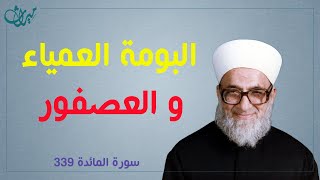 البومة العمياء و العصفور