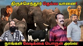 திருச்செந்தூர் தெய்வ யானை | நாங்கள் வேடிக்கை பொருள் அல்ல