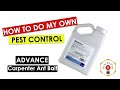 How To Do My Own Pest Control - Advance Granular Carpenter Ant Bait