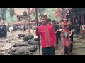 Rangkaian Upacara Pemakaman I Rambu Solo' Alm.Marthen Tonapa Parrangan Pong Sobon di Lempo Toraja.