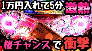 沖海5桜に1万円入れた5分後に激熱の展開が待っていました。【Pスーパー海物語 IN 沖縄5 桜ver.199】