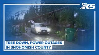 Trees down, power outages in Snohomish Co.