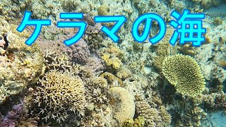 沖縄県の阿嘉島にある人気ビーチの北浜（ニシバマ）の海の中