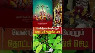 வேண்டுதலை நிறைவேற்றும் தொட்டால் சிணுங்கி செடி.... #astrology #thandrisannidhi