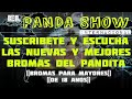 super broma golden a violegunda panda show inter fans