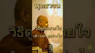 ดูลมหายใจ ดูอย่างไร | พุทธวจน