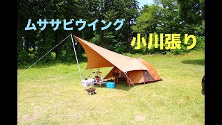 ムササビウイング　小川張り ソロキャンプ