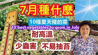 10 best vegetables to grow in July, high temperature resistant, less pests (English Subtitles)