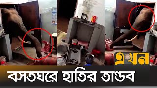 চট্টগ্রামের আনোয়ারায় গভীর রাতে বসতঘরে হাতির তান্ডব | Elephant | Men House | Chittagong | Ekhon TV