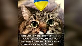 Відомий харківській блогер кіт Степан займається волонтерством у Франції