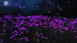 meadow magic hd