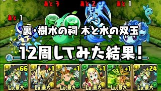 パズドラ 裏・樹水の祠 木と水の双玉を12周してみた結果！