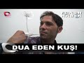 dua eden kuş