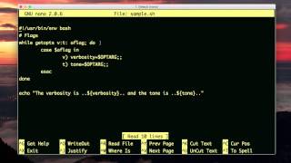 flags being passed to the script (bash scripting)