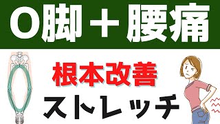 O脚腰痛を根本改善に導く！ストレッチ