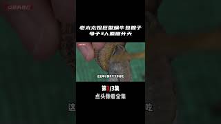 老太太撿巨型蝸牛包粽子，吃完原地升天，2兒子守靈也被老媽害死 老太太撿巨型蝸牛包粽子，吃完原地升天，2兒子守靈也被老媽害死#心動臨沂 #食品安全 #蝸牛中毒 #真實案件 #奇闻