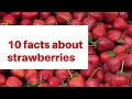 10 facts about strawberries