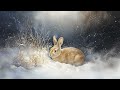 Winter’s Serenity – Peaceful Celtic Music with Nature’s Charm