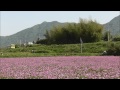 平成筑豊鉄道 蓮華畑 内田三連橋付近