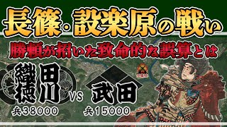 【長篠・設楽原の戦い】大誤算！勝頼が見抜けなかった織田の戦略とは【日本史解説】【地図・地形図で日本史を見る】