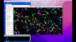 Confetti in the Wind (Data Visualisation with Java)