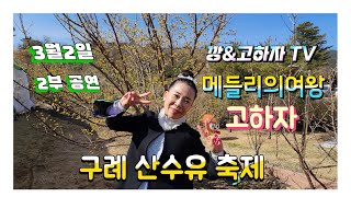 깡\u0026고하자품바TV 2024년3월2일  구례산수유 축제 2부 공연