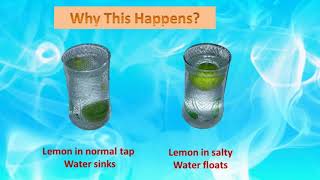 Simple Science Experiments for exhibition and project|Density Effect|Easy experments