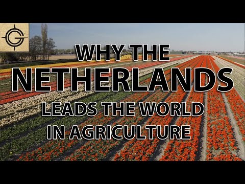 What is the world’s leading agricultural country?