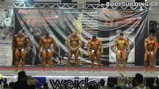 IFBB ΕΟΣΔ - 26ο Πανελλήνιο Πρωτάθλημα 2013 / +100kg Bodybuilding