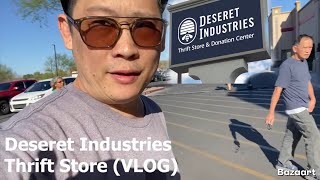 Steebee goes to Deseret Industries Thrift Store (VLOG)
