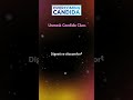 unmask candida clues 9 hidden symptoms of candida that may be affecting you