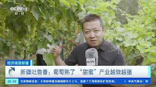 [经济信息联播]新疆吐鲁番：葡萄熟了 “甜蜜”产业越做越强| 财经风云