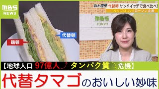 「代替卵がこんなにおいしいなんて」「アレルギー対策にグッド」【2050年 地球人口97億人〝タンパク質危機時代〟の代替食品】【MBSニュース解説】（2023年6月30日）