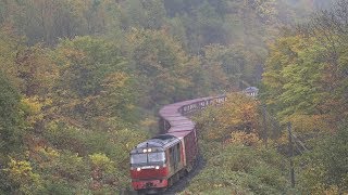 2018.10.09 撮影　雨 紅葉 常紋峠　石北貨物 玉ねぎ列車　☆北鉄路漫473