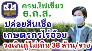 ครม.ไฟเขียว ปล่อยสินเชื่อเกษตรกรไร่อ้อย วงเงินกู้ไม่เกิน 38 ล้าน/ราย