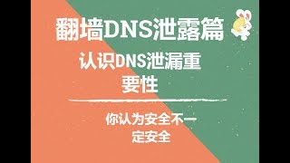 2019安全翻墙DNS篇，如何才能有效翻墙杜绝免费VPN/SSR泄露我们网络活动