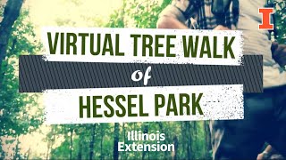 Virtual Tree Walk of Hessel Park 1