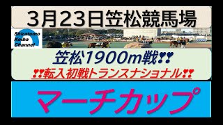 【競馬予想】マーチカップ　転入初戦トランスナショナル！～２０２３年３月２３日 笠松競馬場 ：３－２６