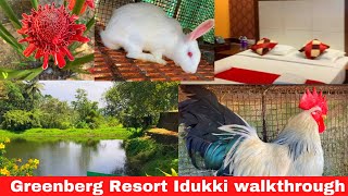 Greenberg Resort Idukki | kulamavu idukki | idukki travel vlog