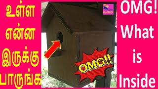 OMG! சிட்டுக்குருவி கூடு உள்ள என்ன இருக்கு பாருங்க | What Is Inside The Sparrow Bird Nest Box.. OMG!