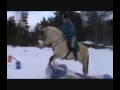 amazing jumptraining larris u0026gråtussa