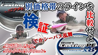 【検証】どっちがイイの？ コスパ重視PE vs 高級PE