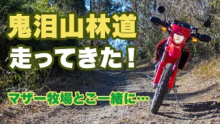 マザー牧場のお隣。鬼泪山林道を走ってきた！【CRF250L】【モトブログ】【motovlog】【林道】【ツーリング】